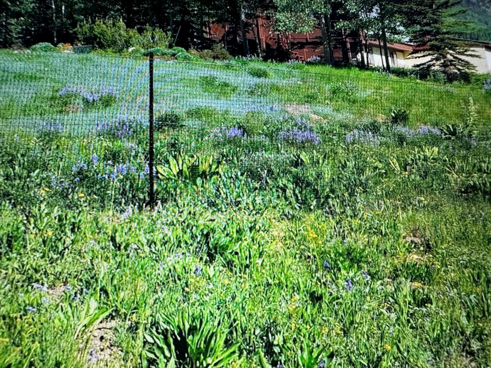 coyote fence for rural areas
